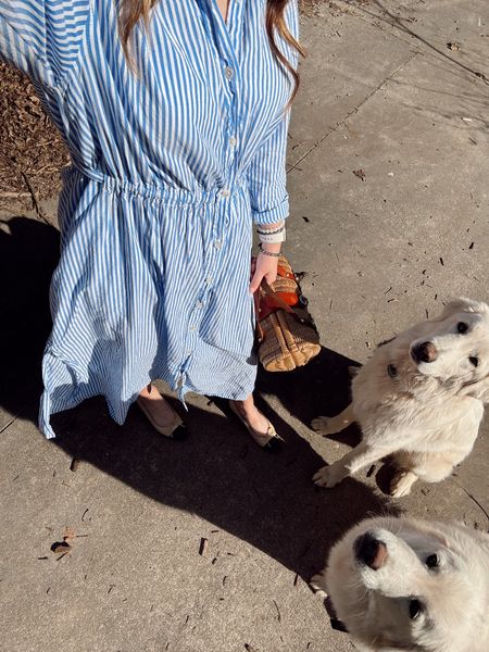 Someone is always jumping into my outfit pics 🐶🐶 just got this cute blue and white striped dress from target and have been wearing it so much! I love it with a cute pair of flats 


#LTKfindsunder100 #LTKSeasonal #LTKstyletip