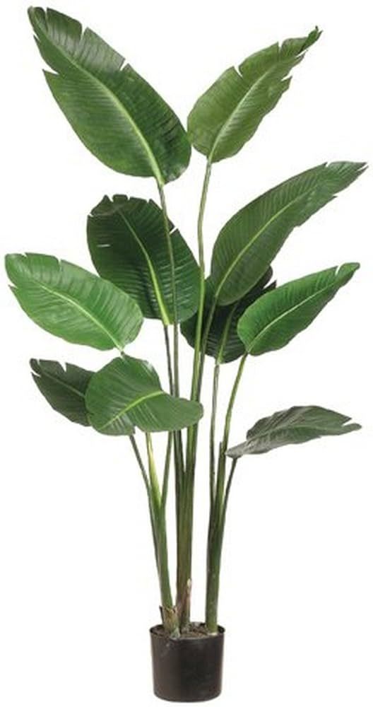 TRESIL 5 Feet Bird of Paradise Artificial Plants Indoor in Black Planter, Realistic Banana Shaped... | Amazon (US)