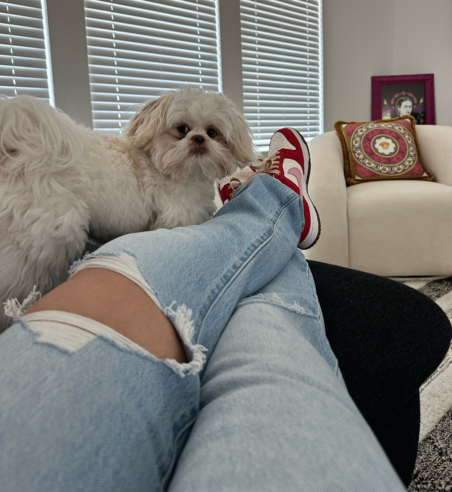 My point of view 🐶👟🩷

#LTKsalealert #LTKshoecrush #LTKMostLoved