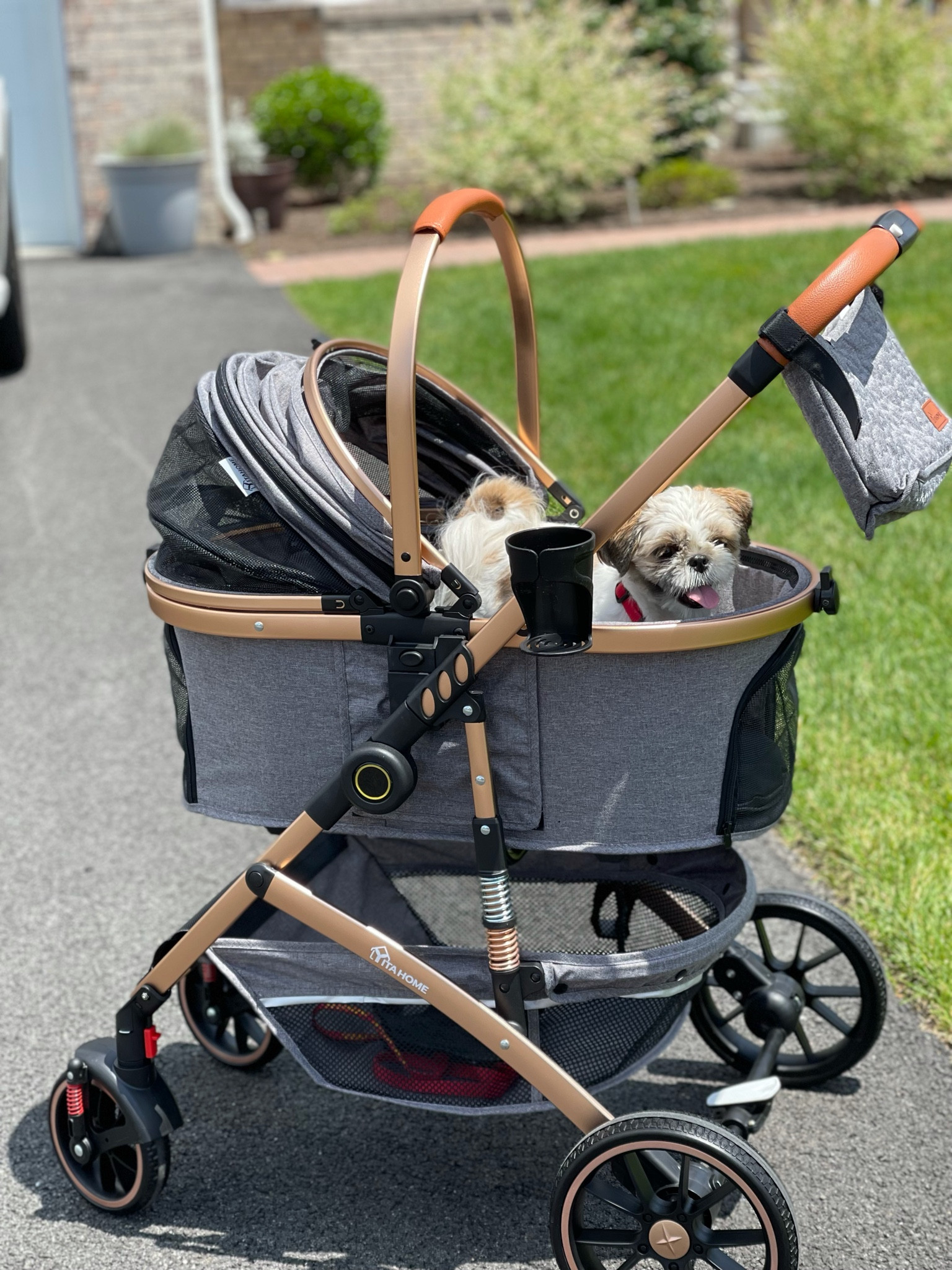Pet stroller 

#LTKFind #LTKfamily #LTKSeasonal