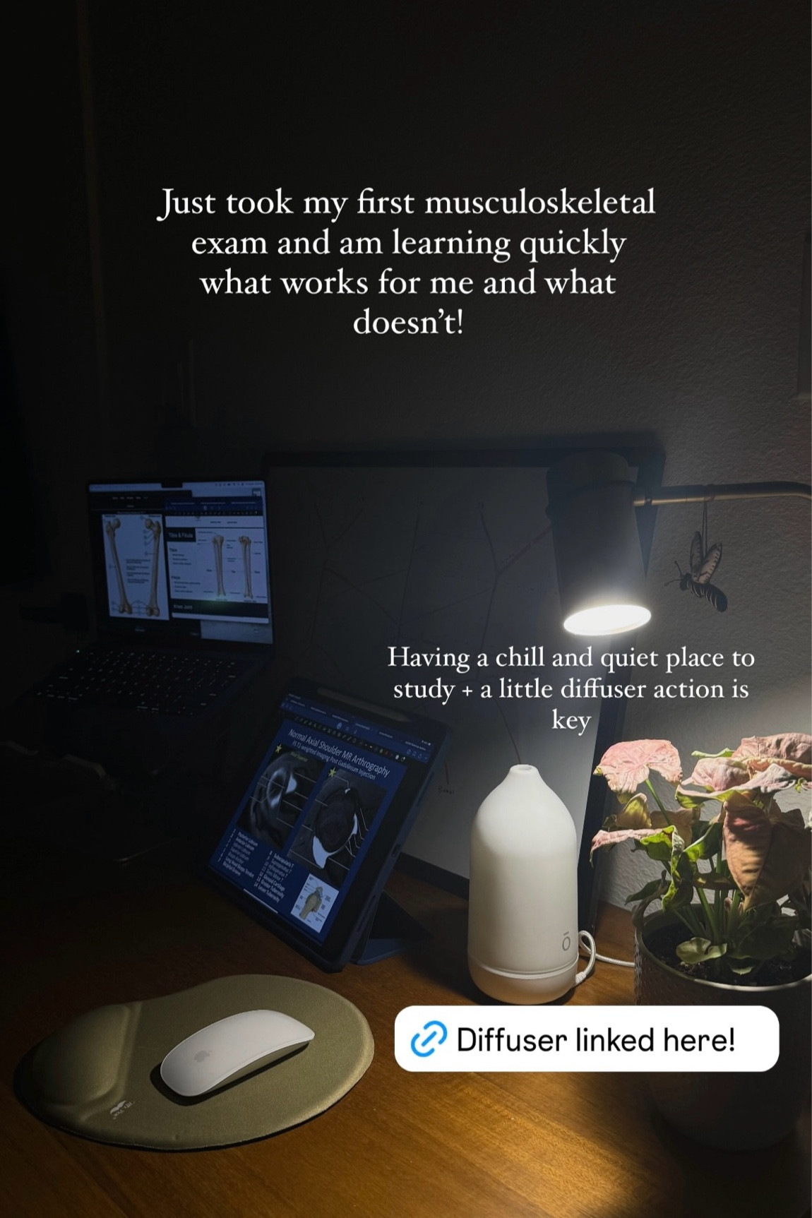 When I’m feeling stressed or need to just chill while studying, I use my diffuser and some essential oils to help set the mood! 

#LTKFindsUnder50 #LTKBacktoSchool #LTKHome