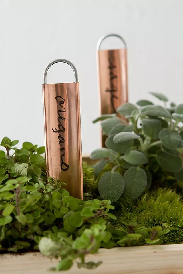 Copper Plant Markers, Vertical | Terrain