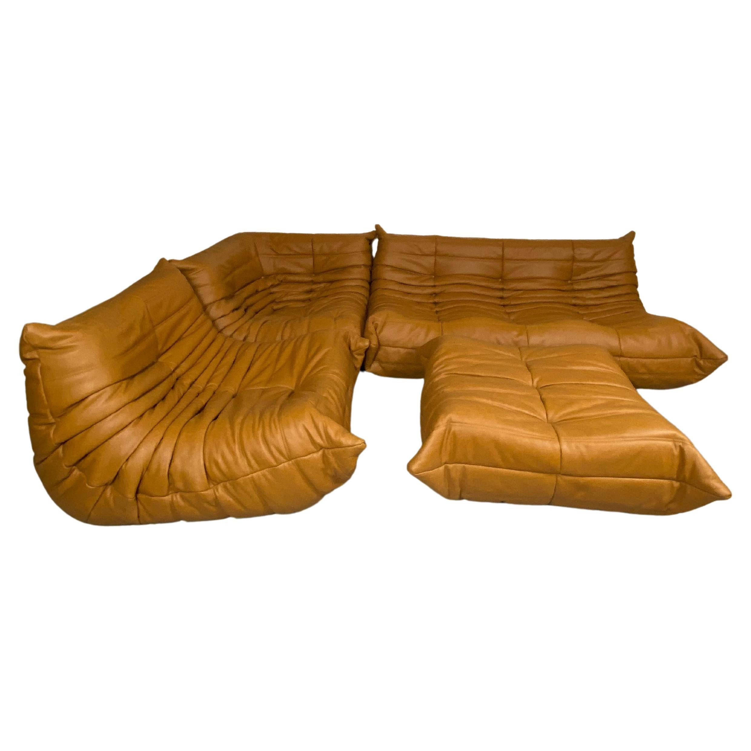 Togo Sofa by Michel Ducaroy for Ligne Roset | 1stDibs