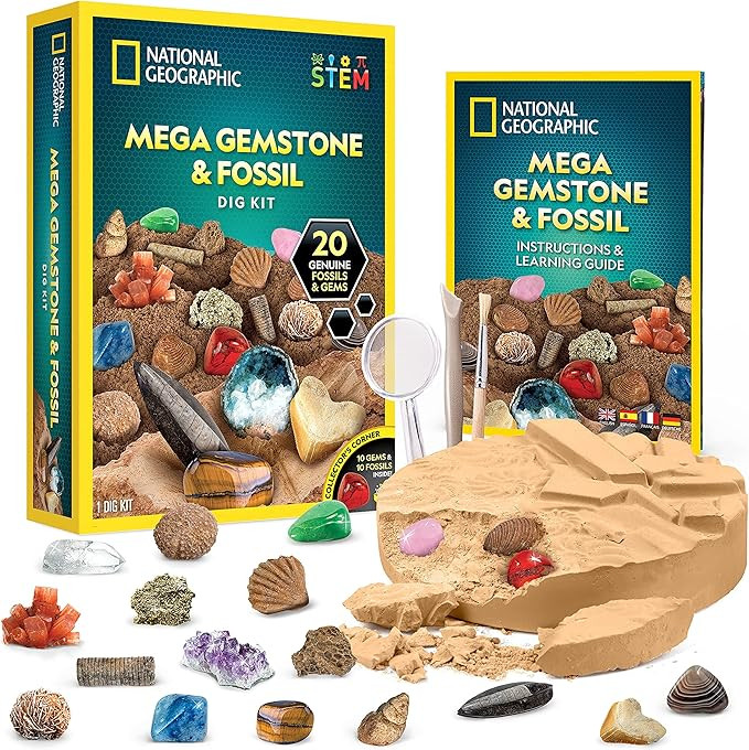 NATIONAL GEOGRAPHIC Mega Fossil and Gemstone Dig Kit - Excavate 20 Real Fossils and Gems, Science... | Amazon (US)