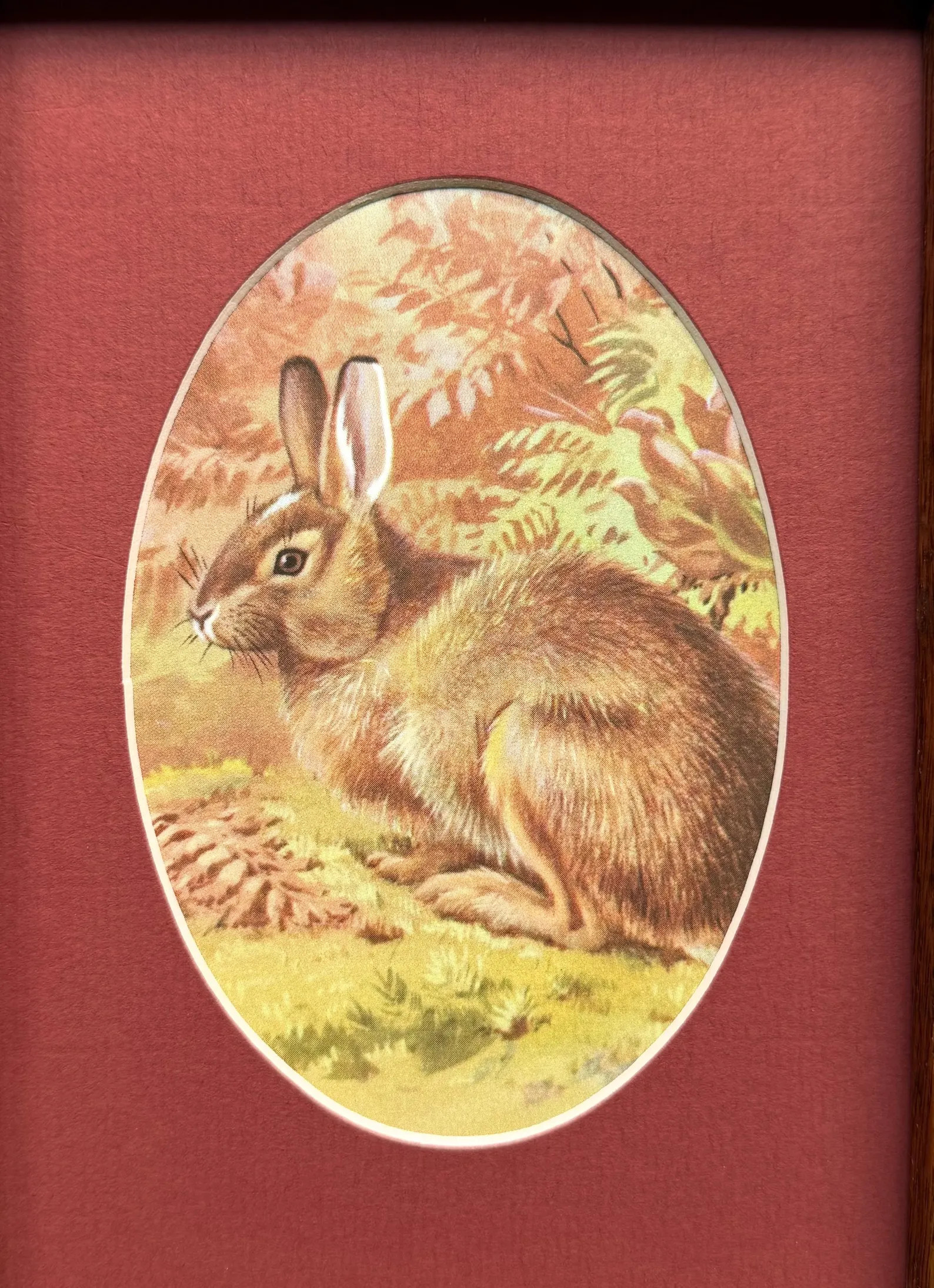 1950s Bunny Snowshoe Hare Print, Vintage Wildlife Art, Woodland Critter Decor | Etsy (Global)