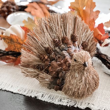 I love this little turkey made of natural elements. It’s so festive for the Thanksgiving holiday! #LTKThanksgiving

#LTKHoliday #LTKSeasonal #LTKhome