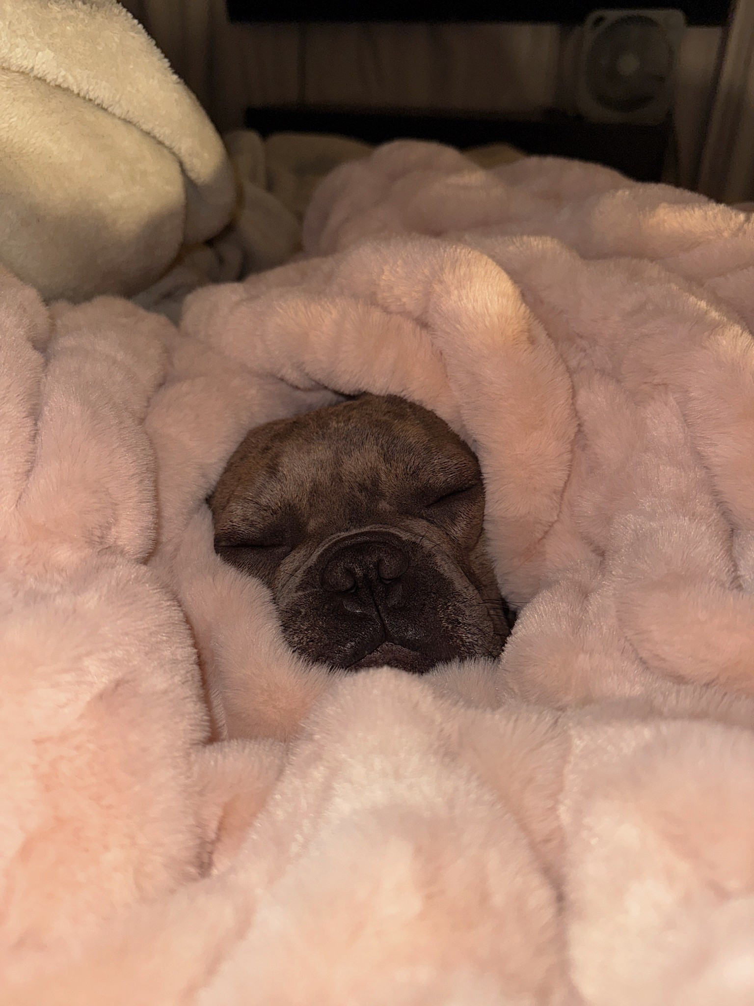 obsessed with this blanket 💗