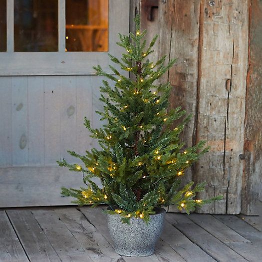 Faux Pre-lit LED Potted Norway Tabletop Tree | Terrain