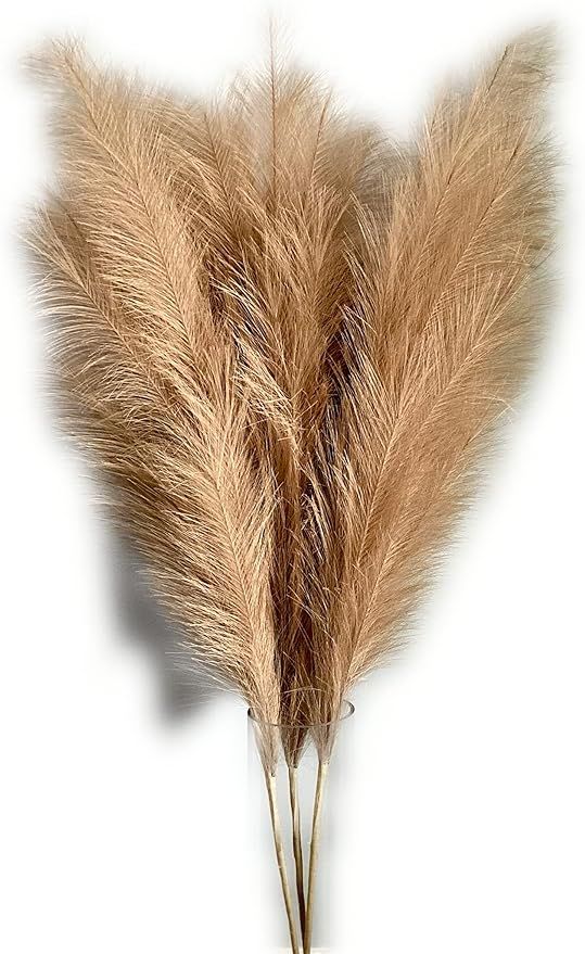 Ana's Pampas Grass, 3 Pack, Golden Brown, Natural Look, Housewarming Gift, Home & Office Décor 4... | Amazon (US)