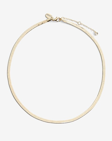 Sleek Chain Necklace | Express