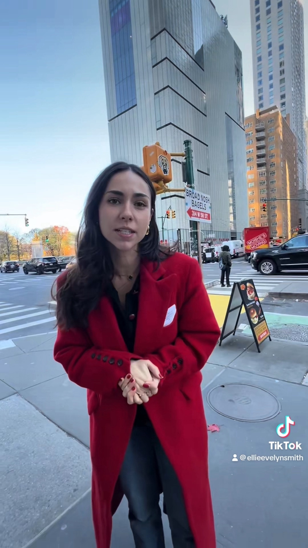 #wintercoat #coat #winteroutfit #newyorkoutfit #fashioninspo

#LTKSeasonal #LTKVideo #LTKHoliday