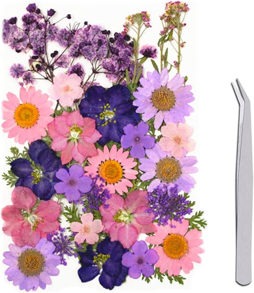 Marca: WJIAEER | Amazon (IT)