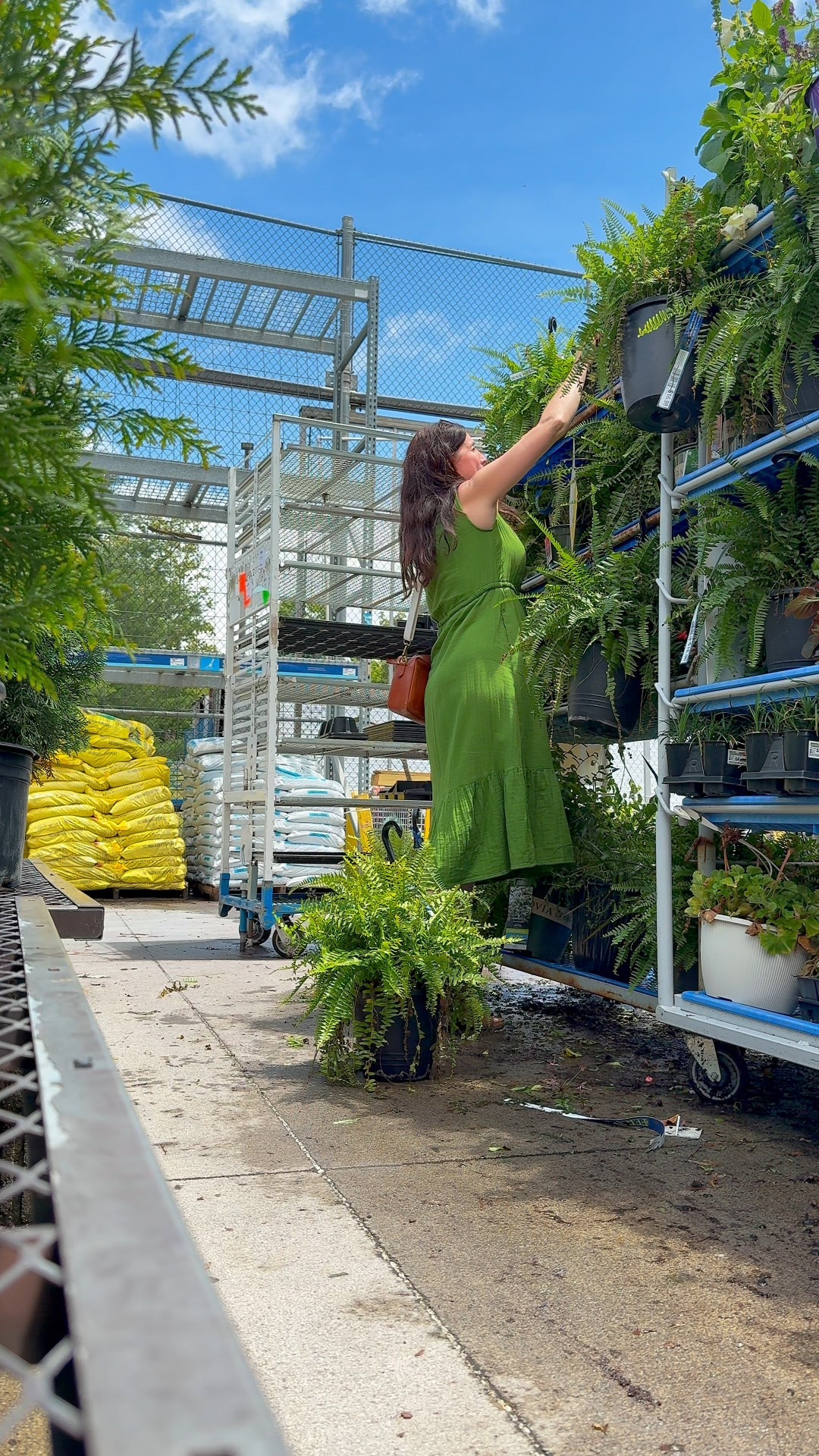 Window box on the back patio 

#LTKSeasonal #LTKSummerEdit #LTKHome