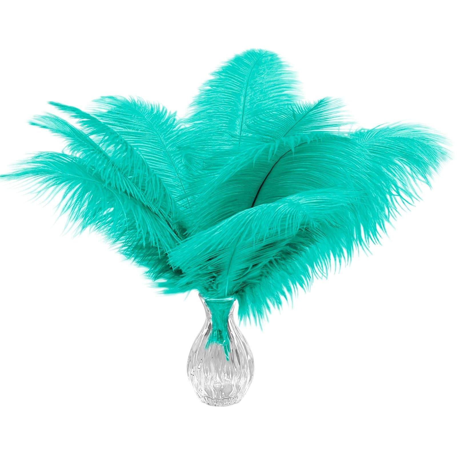 Piokio 20pcs Aqua Green Ostrich Feathers 10-12 inch (25-30cm) Bulk Feathers for Wedding Party Cen... | Amazon (US)