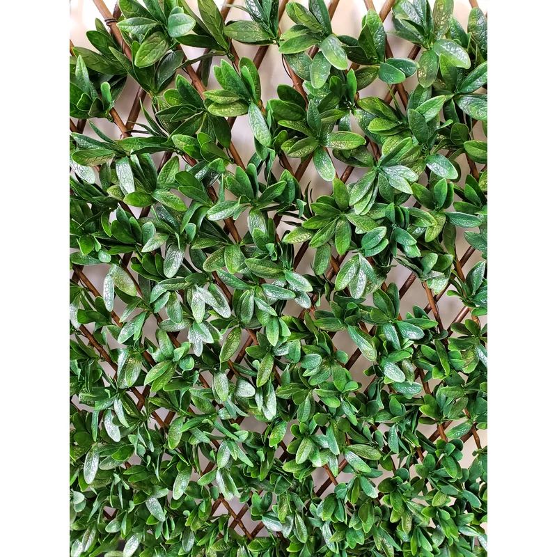 3.5 ft. H x 6.5 ft. W Artificial Leaf Accordion Expandable Wall Polyethylene Privacy Screen | Wayfair North America