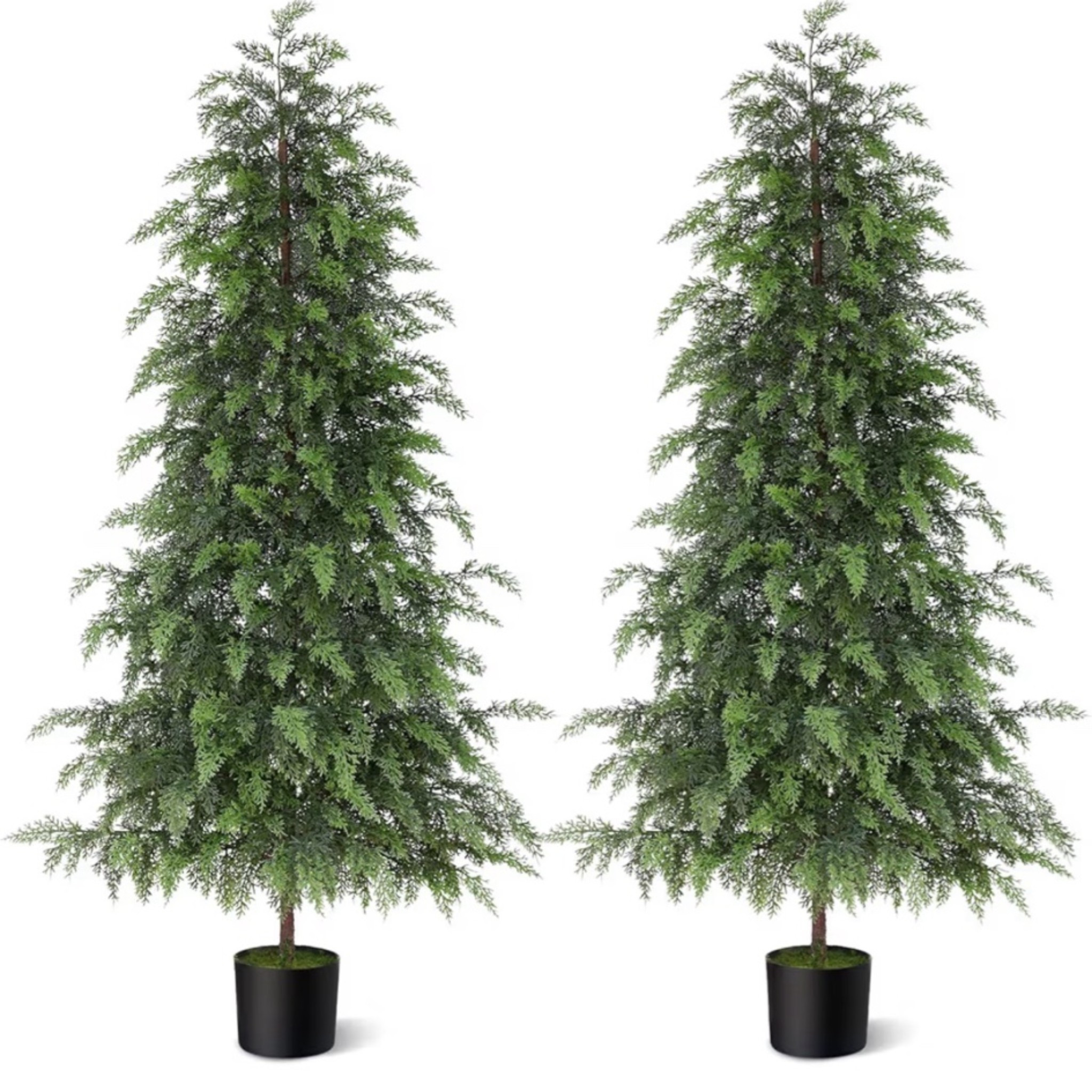 Real Touch Cedar Tree Set of 2

#LTKHome #LTKSaleAlert