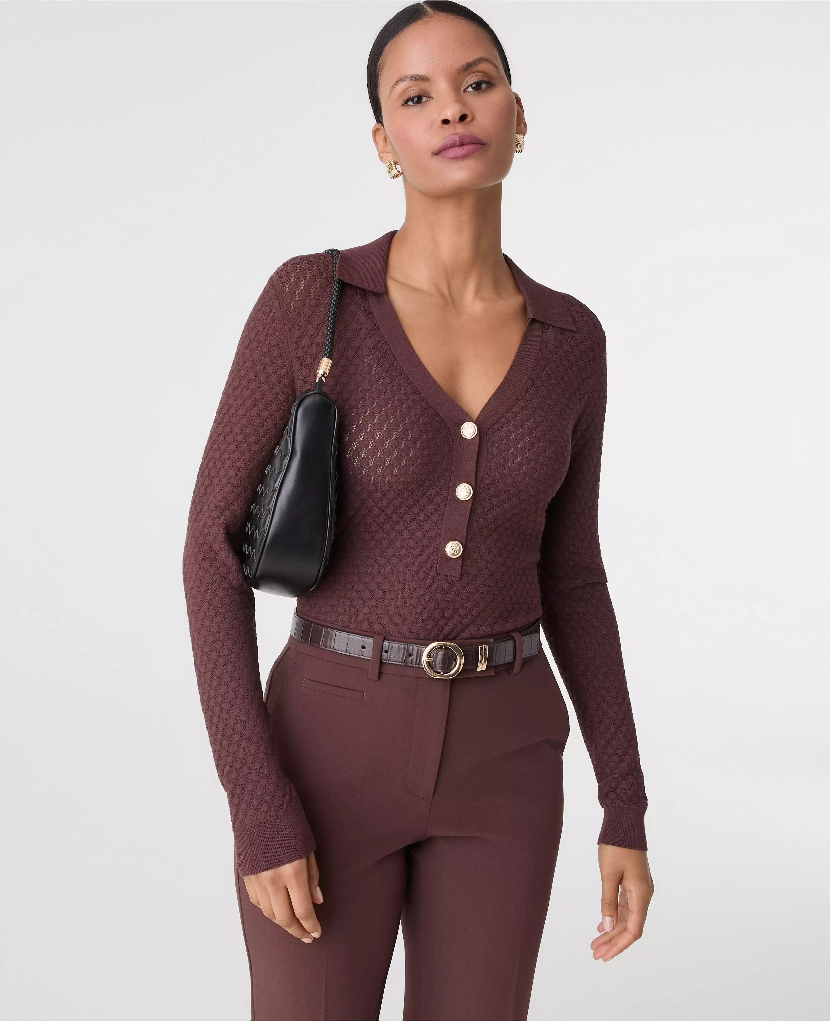 Pointelle Polo Sweater | Ann Taylor