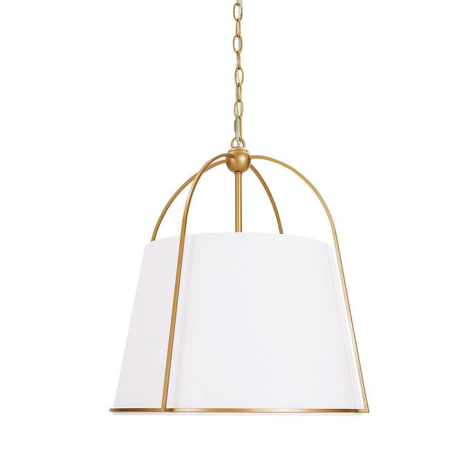 Adelaide 4-Light Caged Pendant | Ballard Designs, Inc.