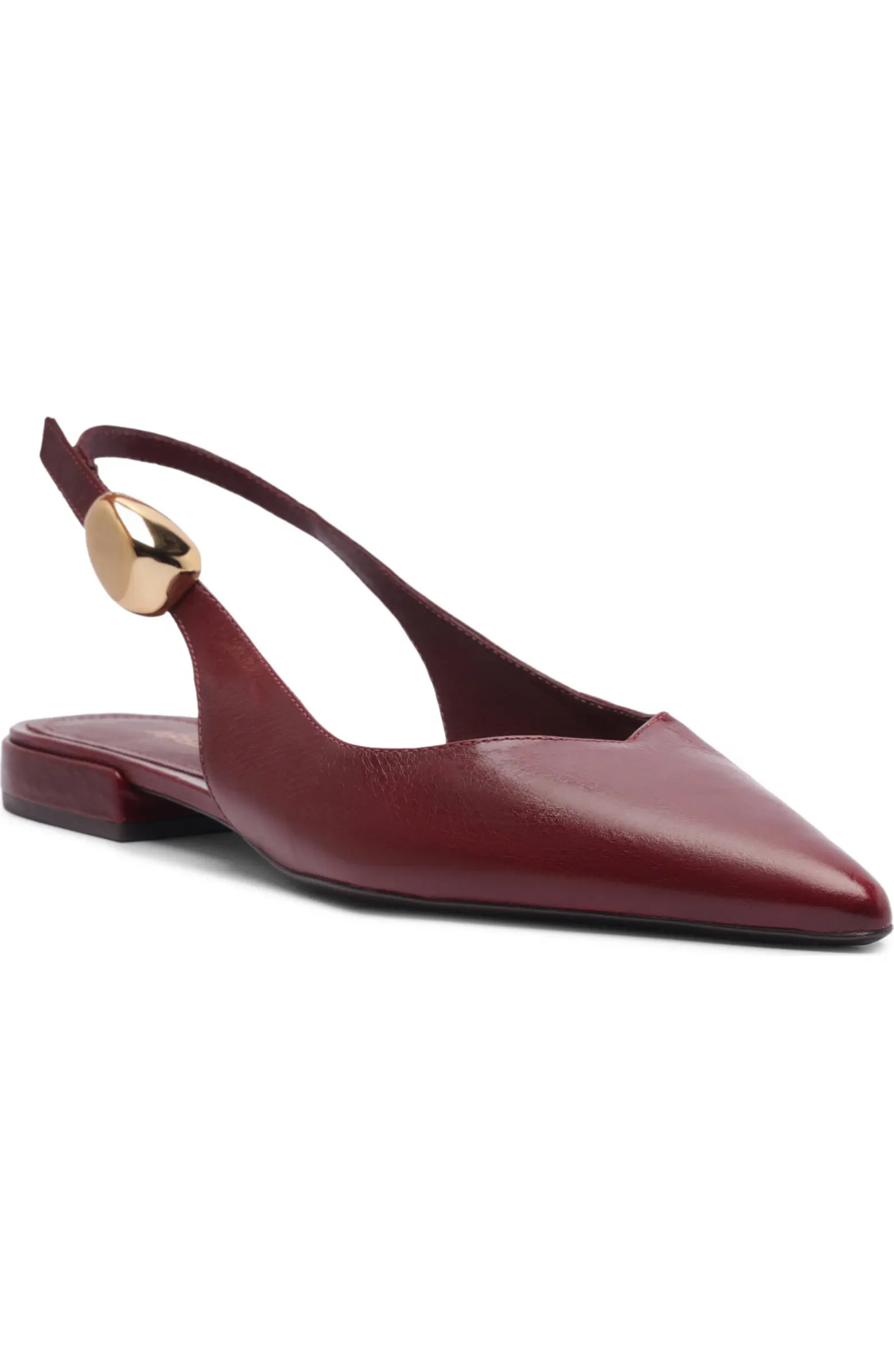 Arezzo Farrah Slingback Pointed Toe Flat (Women) | Nordstrom | Nordstrom