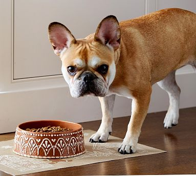 Gingerbread Pet Bowl | Pottery Barn (US)