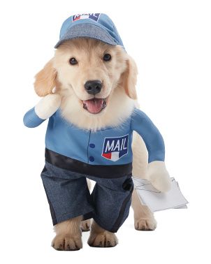 Mailman Pet Costume | TJ Maxx