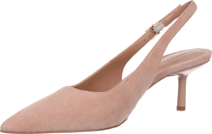 Liza Pointed Toe Pump (Women) | Nordstrom