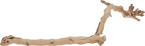 Exo Terra Forest Branch, Large | Amazon (US)