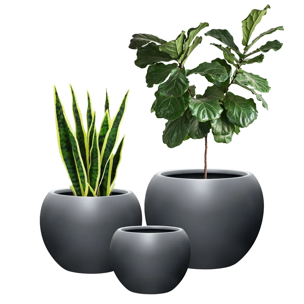Dorlis Fiberstone Pot Planter | Wayfair North America
