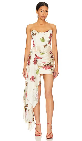 Chasing Dawn Dress in Fall Peony | Revolve Clothing (Global)