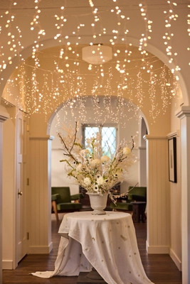 Stargazer Twinkling Icicle Light Strand | Terrain