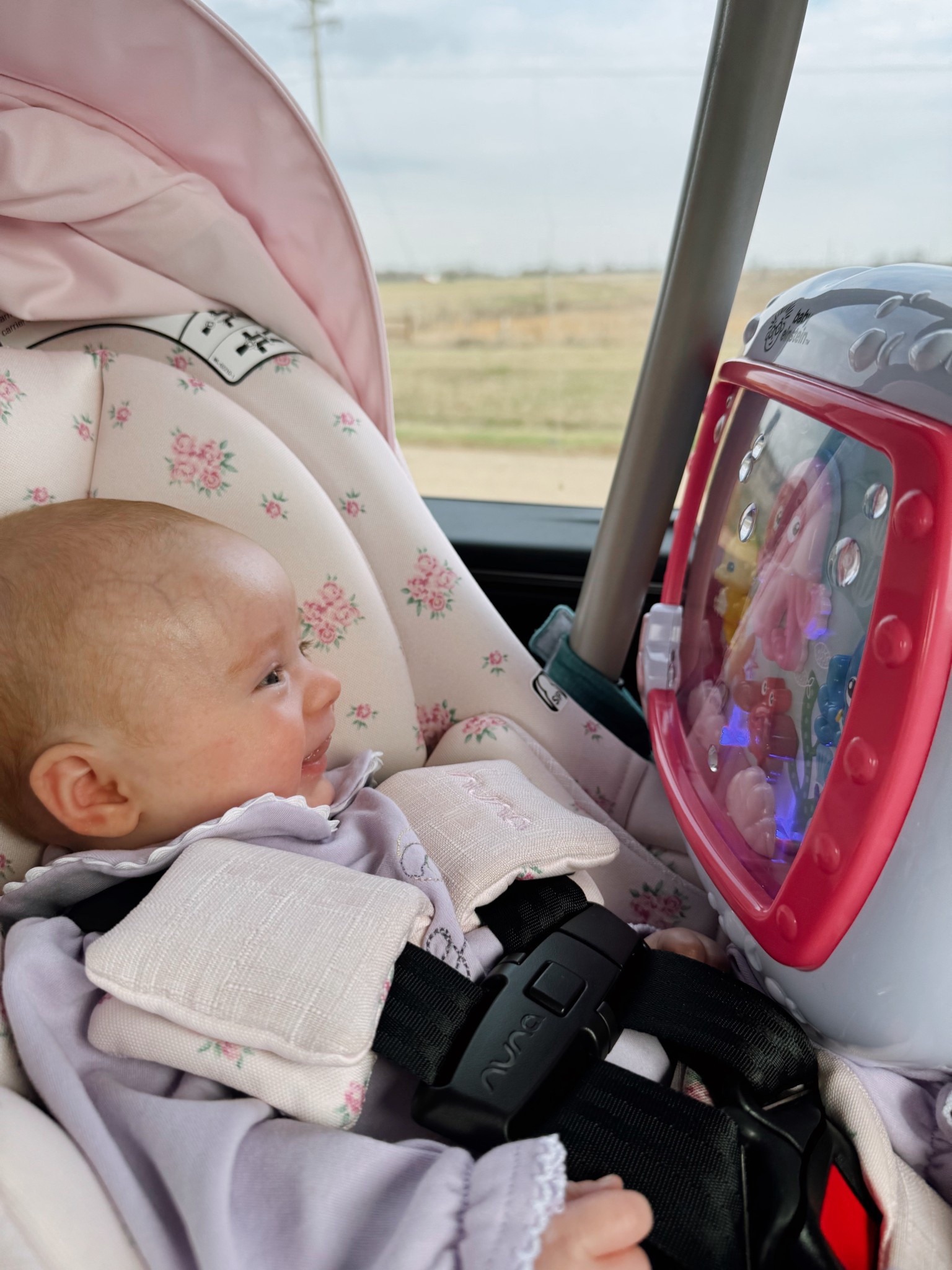 Don’t know what we would do without our fish tank! Traveling lifesaver, moms! 

#LTKKids #LTKBaby #LTKTravel