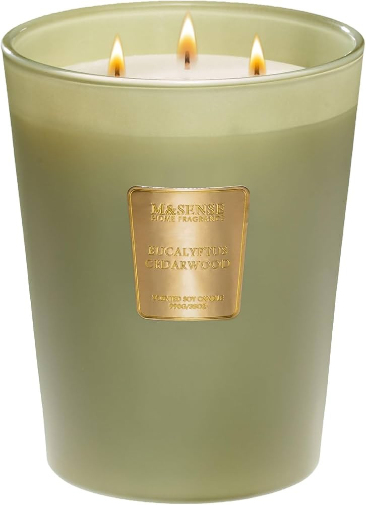 M&SENSE Eucalyptus & Cedarwood Scented Candle, 3 Wick Natural Soy Wax Candles for Home Scented, G... | Amazon (US)