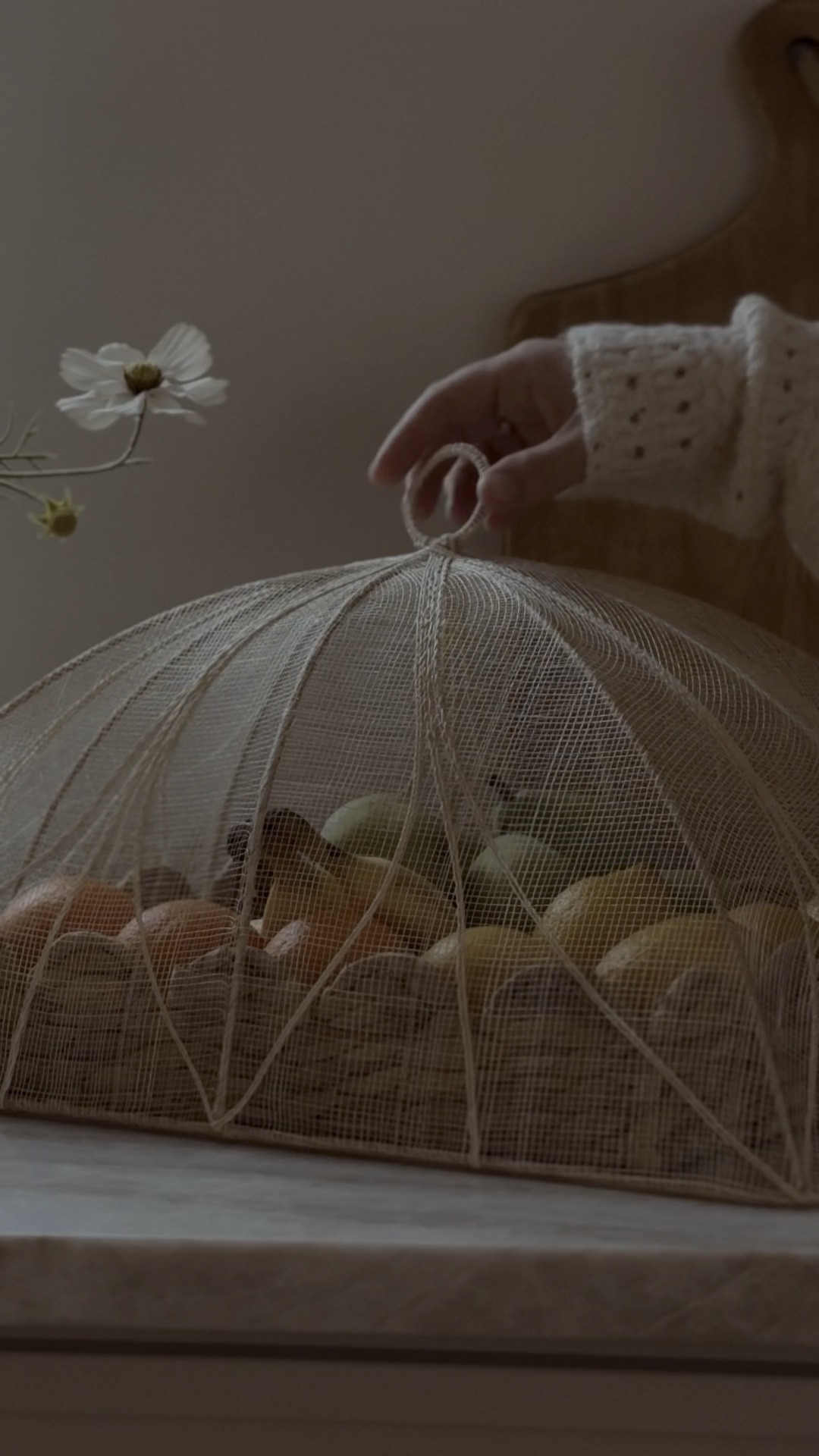 Vintage food cover beautiful mesh food cover some vintage kitchen accessory 

#LTKHome