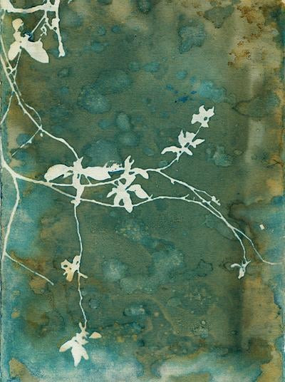 Wandering Vine  | Artfully Walls