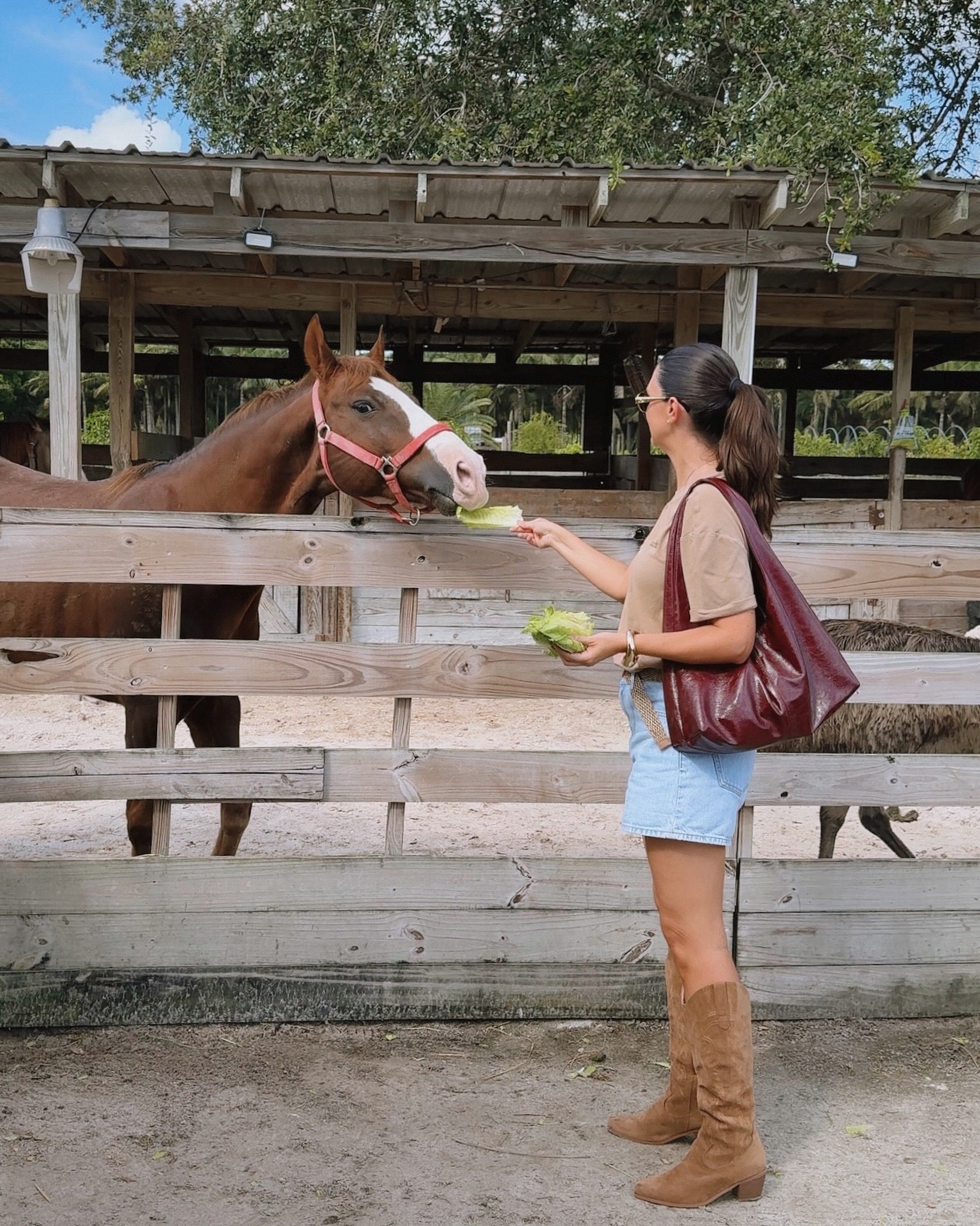 Farm day either the fam! First time wearing western boots in Florida lol also the only bag I am carrying this fall, this burgundy color goes with everything 

#LTKSeasonal #LTKSaleAlert #LTKShoeCrush