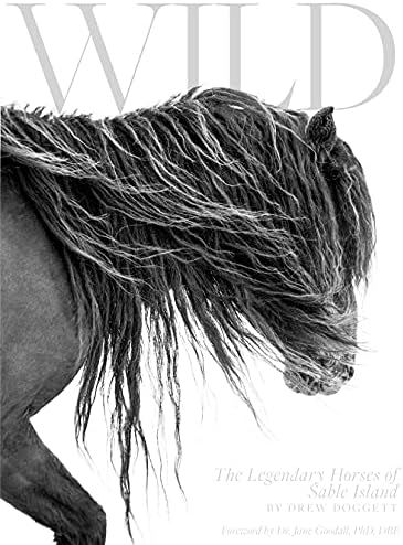 Wild: The Legendary Horses of Sable Island | Amazon (US)