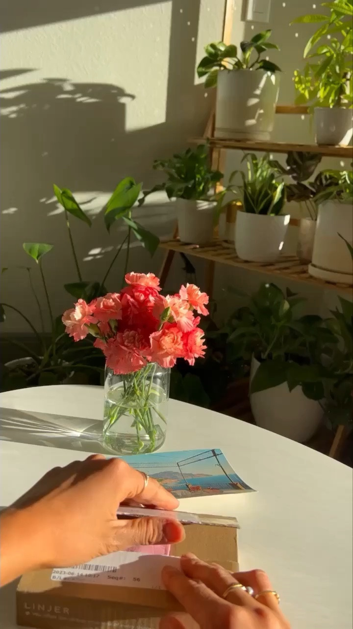 @linjerco is having a summer sale! Buy one, get one 45% off right now with my discount code Abbey45

Linjer Jewelry Code: Abbey45

#LTKunder100 #LTKsalealert #LTKSeasonal