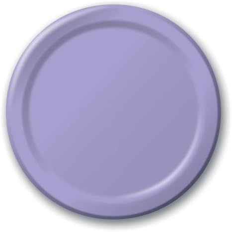 Creative Converting Touch of Color 24 Count Paper Banquet Plates, Luscious Lavender | Amazon (US)