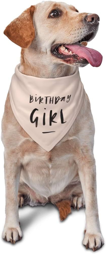 Birthday Girl Dog Birthday Party Supplies,Triangle Scarf, Celebration Printed Dog Bandana Pet Acc... | Amazon (US)