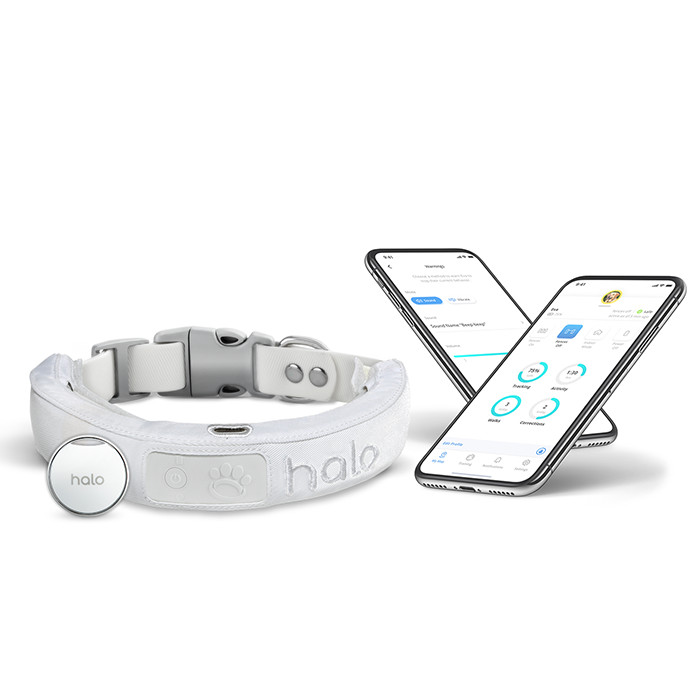 Shop GPS Wireless Virtual Dog Fences - Halo Collar | Halo Collar
