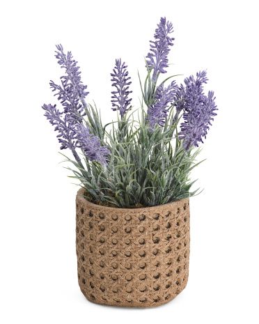 Lavender In Cane Pot | TJ Maxx