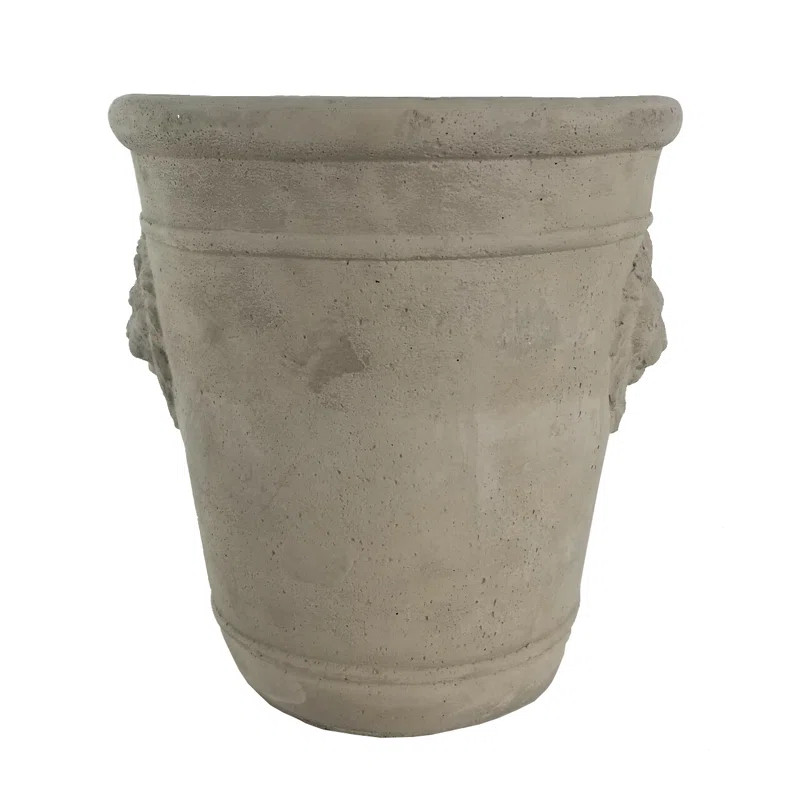 Bungalow Rose Kyzin Cement Pot Planter | Wayfair | Wayfair North America