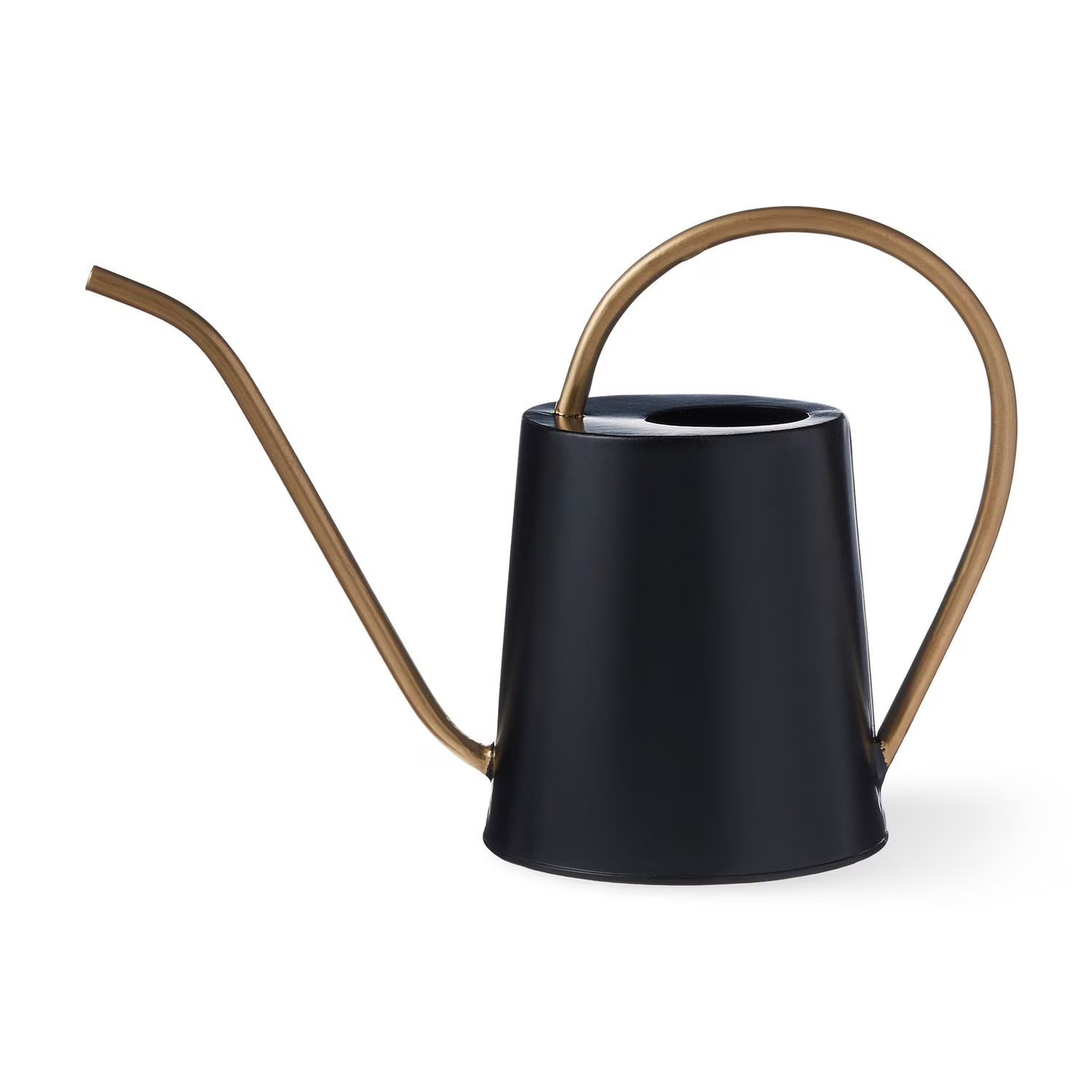 FRAÎCHE Spring Small Black Metal Watering Can, 2 litre | Walmart (CA)