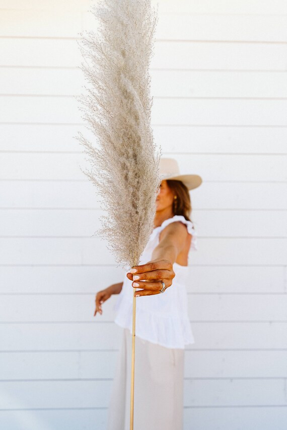 Pampas Grass Large 4 feet Natural Dried Pampas by Luxe B | Etsy | Etsy (US)
