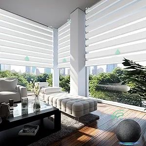 Yoolax Motorized Zebra Blinds Compatible with Alexa, Smart Dual Layer Shades with Privacy Light C... | Amazon (US)