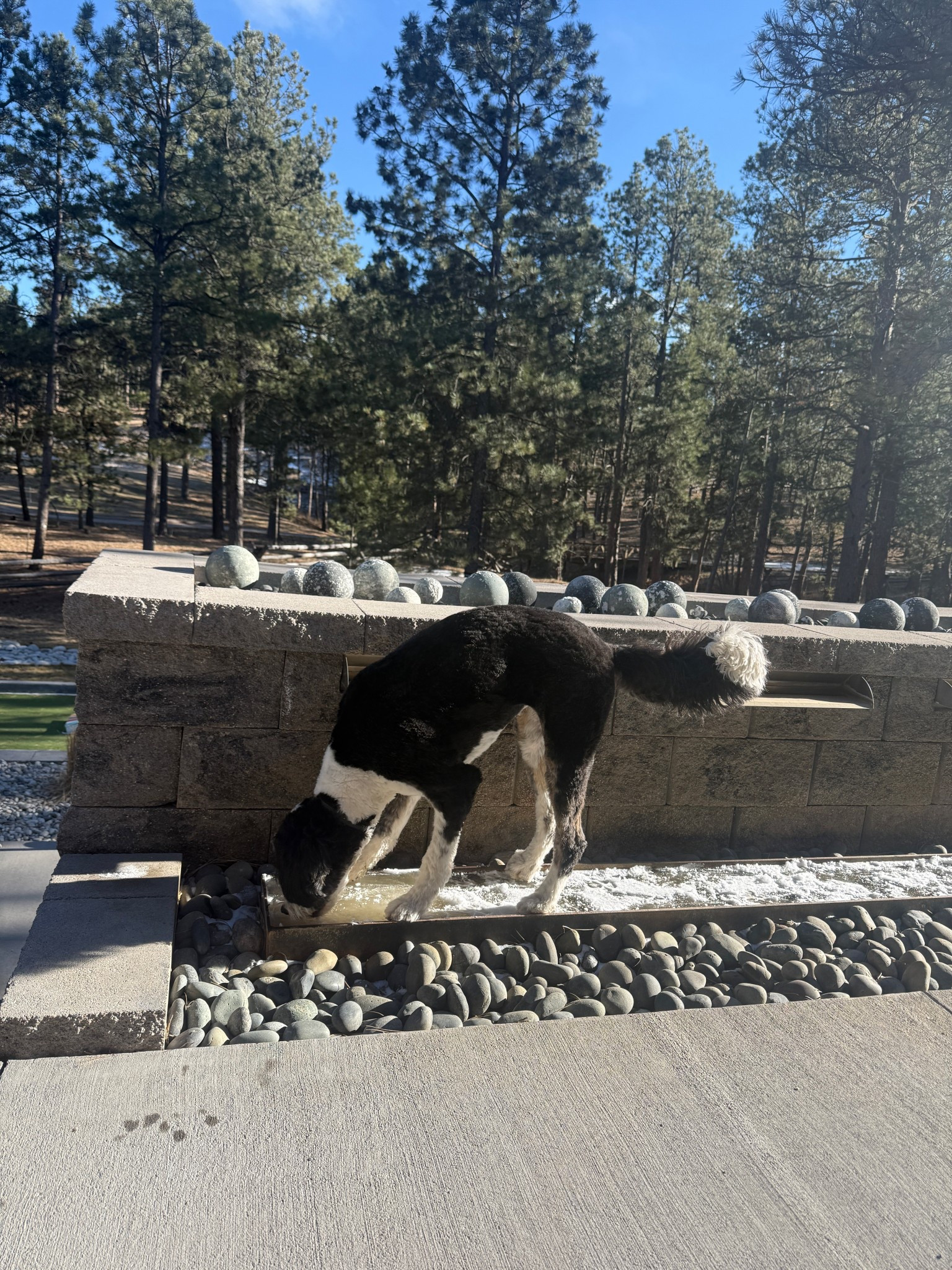 So ready to be spending more time out on the back patio! Linking some of my favorite planters and outdoor rugs.

#LTKHome #LTKdayinmylife #LTKSeasonal