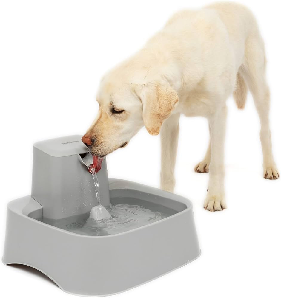 PetSafe Drinkwell Gallon Fountain for Cats and Dogs – Fountain Filter and Pump Included - Dog a... | Amazon (US)