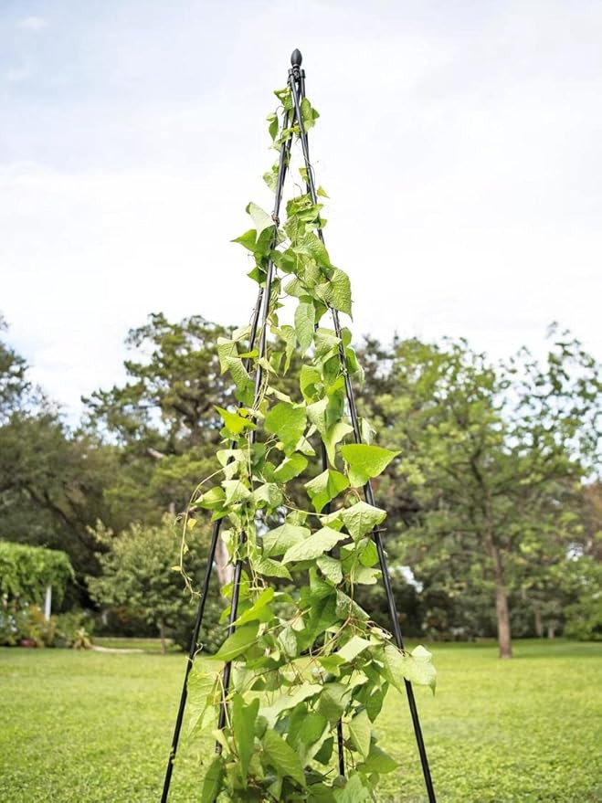 Gardeners Supply Company Extra Tall Garden Teepee Trellis | Sturdy Plant Support for Peas, Beans,... | Amazon (US)