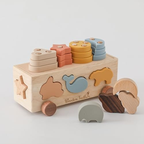 WOODEN TEETHER Wooden Montessori Toys with Silicone Stacking Sorting Toys for Toddlers Shape Sorter Preschool Learning Educational Sensory Toys for Babies Infants Learning Fine Motor Skills | Amazon (US)
