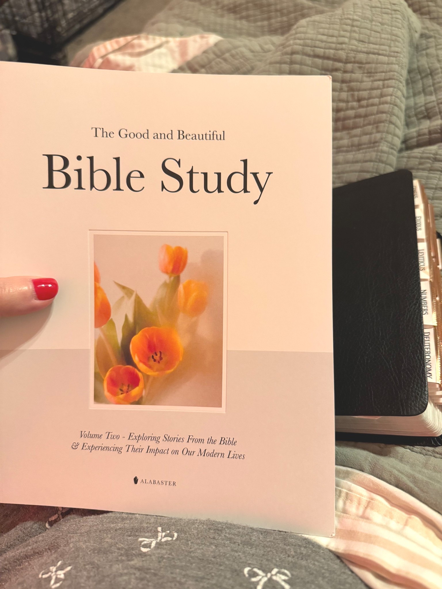 The Good and Beautiful Bible Study Vol 1 & 2
NLT Holy Bible 
Bible tabs 



#LTKGiftGuide #LTKmorningroutine #LTKselfcare